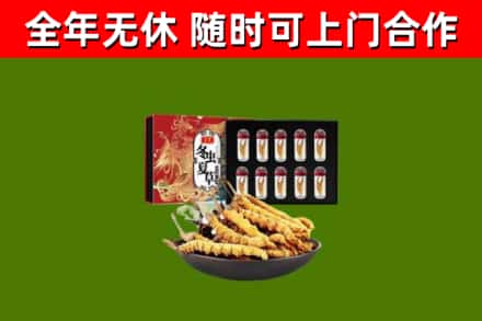紫金县回收冬虫夏草价格
