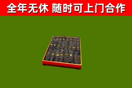 紫金县回收海参
